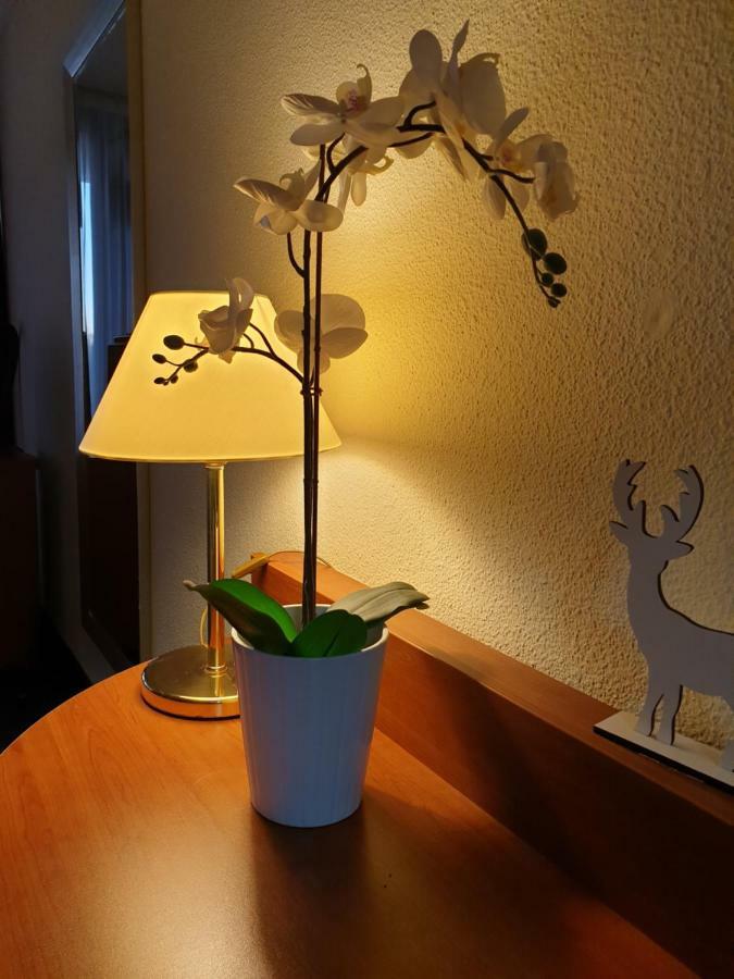 Apartment Am Kranichsee Vier Jahreszeiten Goslar Dış mekan fotoğraf